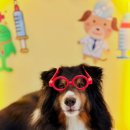 놀러오개 이미지