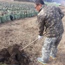 농업회사법인(주)으뜸 이미지
