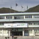 사북시장 청년몰 이미지