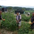 얼쑤농장 이미지