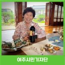 지미당 이미지