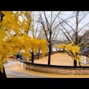 경섭농장 이미지