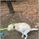 수원-2057 이미지