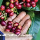 바리스타초급(화) 이미지