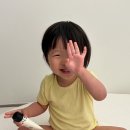 햇볕은쨍쨍어린이집 | 21개월 아기선크림 | 몽디에스 징크 수분 선크림 사용 후기