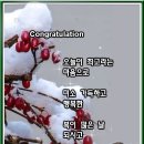 AI-Congratulation 이미지