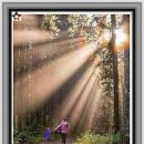 샛별아동심리발달센터 이미지