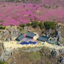 블랙야크 100대 명산 비슬산 등산 후기 진달래 군락지 만개 유가사 코스 비슬산참꽃구경