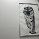 백호리존 이미지