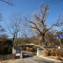 중앙동 온온사 옆 이미지