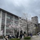 원게임장 이미지