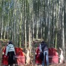 POOh테이블 | Damyang with Pooh💕 (Ep. 1)