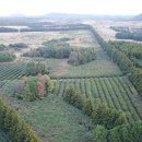 청초농장 이미지