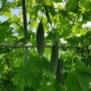 지운농장 이미지