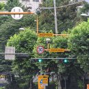 신서초교 이미지