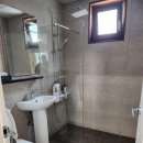 쁘띠독애견펜션 이미지