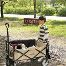 서우세탁 | 여의도 텐트 한강공원 돗자리 대여 추천, 노블피크닉