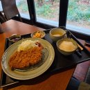 댓짱돈까스 | 서울 목동 돈까스 맛집 댓짱돈까스 아이랑 로스까스 우동 식사 후기