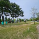 오십천 파크골프장 | 오십천파크골프장(영덕) 예약·요금·운영시간 완전정리 — 출발 전 필독