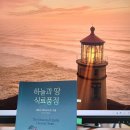 25-028. 하늘과 땅 식료품점/제임스 맥브라이드/박지민 역/미래지향/1쇄 2024. 8. 20./487면/18,000원 이미지