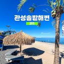 행복무지개 | 경주 관성솔밭해변 무지개색 매력에 빠져든 후기