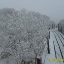 2011년 1월 2일 소백산 비로봉 눈꽃산행(백두 33구간) 이미지