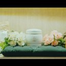 펫바라기 이미지