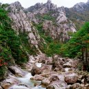 금강산식품 - 안산시 단원구 | 금강산식품