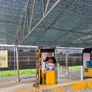 대림골 | [안성] 정말 만족스러웠던 안성팜랜드 방문기