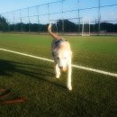 대정문화체육센터 이미지