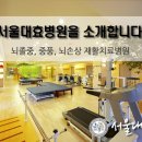 서울대효병원강남병원 네이버블로그
