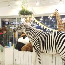 인형의 거리(뱀) 이미지