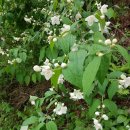 류인석 선생 묘역  이미지