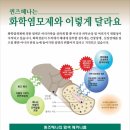 퀸즈헤나미용실 - 김해시 가야로 22 | 퀸즈헤나미용실