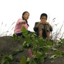 리틀램어린이집 이미지