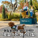 왕길공원 | 2025 로열가든페스티벌 왕길동 메밀꽃 축제 한발 늦은 후기