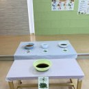 아름다운 자연의 색으로 손수건 염색을 해보았어요.[IB국제교육 연계활동]🌈 이미지
