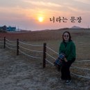 이순덕 너라는 문장 ai작곡 ＜태안 모래사구＞ 이미지