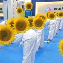 해바라기 태권도 이미지