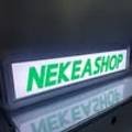 네케아(NEKEA)