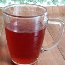 오미자효소의 효능 이미지