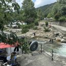 고향산천식당 이미지