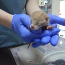 논공중앙로-논공중앙로45길 이미지