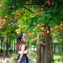 부천-중앙-부천-01 이미지