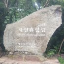 교래자연휴양림 이미지