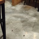 일오칠양꼬치