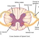 주경일렉트릭 이미지