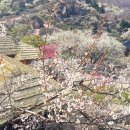 광양매화문화관 이미지