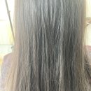 폴라리스헤어 이미지