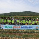 농협 해남군지부 앞 이미지